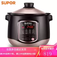 苏泊尔(SUPOR)电炖锅 4升 炽陶系列 电脑型电炖锅 球形内胆 家用煲汤煮粥 (4升)
