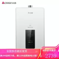 志高 CHIGO 燃气热水器 家用天然气 液化气 速热变频恒温降噪 强排式多点供水13升此款为天燃气 [13L]+超大竖