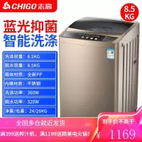 志高8/10公斤洗衣机全自动家用小型迷你大容量波轮宿舍租房热烘干 ⑧⑤蓝光款