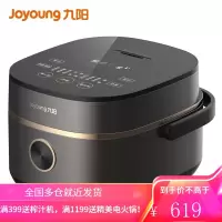 九阳(Joyoung)电饭煲电饭锅多功能2L迷你容量智能触摸操控一键柴火饭2-4人 2L精致电饭煲