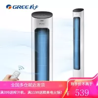 格力(GREE)遥控电风扇节能风扇家用低噪塔式落地扇新品电扇高颜值塔扇无叶风扇