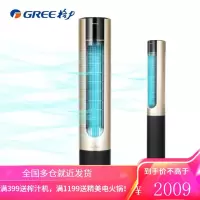 格力 (GREE) 新品 冷暖塔扇/塔式落地扇/家用风扇/电风扇/家用取暖器