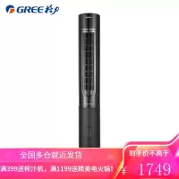 格力(GREE)暖风机家用卧室办公室无叶塔扇冷暖两用取暖器电暖器负离子智能低噪轻音节能遥控风扇 FL-10X61RBg