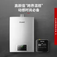 天然气 林内(Rinnai) 燃气热水器 16升 天然气 即开即热 定时预约热水 循环泵