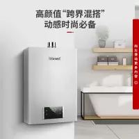 天然气 林内(Rinnai)燃气热水器 变频节能恒温 强排式 百年定制“芯”品 家用 13升