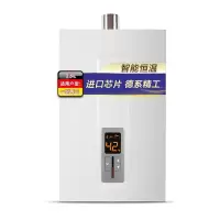 博世(BOSCH) 13升燃气热水器 12T天然气热水器 精准恒温防冻型 德质