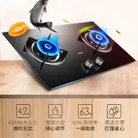 帅康(Sacon)定时燃气灶 5.0kW猛火灶 煤气灶双灶双眼灶 家用台嵌两用灶具 天然气灶 4.2kw钢化玻璃(天然气