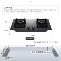 帅康(Sacon)燃气灶 4.5kW大火力猛火灶 煤气灶双灶双眼灶 家用嵌入式台式两用灶具 天然气灶 5.0KW高端灶-