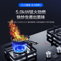 万和(Vanward)5.0kw猛火240min定时烹饪 家用台式嵌入式台嵌两用双灶燃气灶 5.0kw天然气
