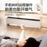 美的踢脚线取暖器家用电暖气节能速热暖风机大面积烤HDY22LS 新升级智能款: WiFi语音操控 速热+加湿+节能