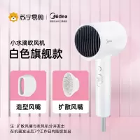 美的发廊电吹风机家用大风力理发店大功率网红负离子护发吹风筒33 蓝色