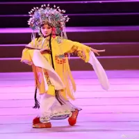 商业演出嘉宾演员