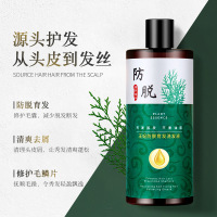 防脱育发液 生姜植物修护理清爽滋养草本控油去屑育发液