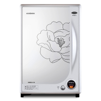 康星消毒柜 二星级消毒 68L立式消毒碗柜壁挂式 家用办公室碗筷餐具茶杯消毒 RTP68-A