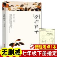 [赠考点 无删减配套教材]七年级下册必读 骆驼祥子 原著正版老舍著 小学生初中生课外阅读书籍课外书世界名著 包含茶馆