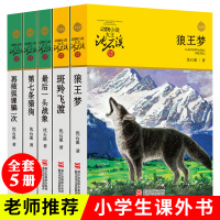 狼王梦沈石溪正版动物小说全集系列全套5册斑羚飞渡后一头战象第七条猎狗6-7-10-12岁儿童四五六年级小学生课外阅读全套