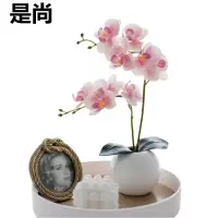 是尚 仿真花蝴蝶兰盆栽摆件 20*35cm/套