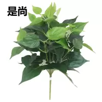 是尚 仿真花 仿真绿萝/个