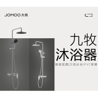 九牧(JOMOO)卫浴淋浴花洒套装家用卫浴沐浴花洒喷头JLY023