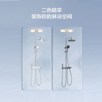 九牧JLY020家用卫浴大置物台喷枪自动除垢花洒淋浴器套装