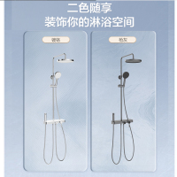 (5套起发)九牧JLY020家用卫浴大置物台喷枪除垢淋浴器套装