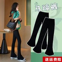 权小威 2022春秋新款韩版时尚洋气高端气质显瘦高腰马蹄裤女高弹垂感黑色微喇叭裤子潮