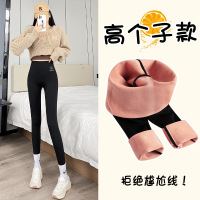 权小威 鲨鱼裤加绒冬季必买外穿搭保暖修身高腰收腹弹力显瘦打底裤秋冬女