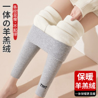 权小威 打底裤冬季加绒加厚外穿高腰竖条显瘦紧身螺纹棉裤女保暖裤