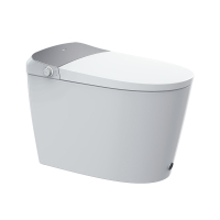 海尔(Haier)智能马桶一体机 无水压限制款 全自动冲水智能坐便器 双子星系列 自动翻盖杀菌泡沫盾H3K 305坑距