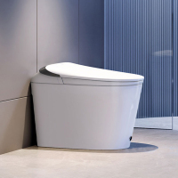 海尔轻智能C9ZX4 400坑距内置水箱脚感翻盖泡沫盾按键操控座圈加热停电冲水带夜灯