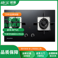 耐惠(NAAFI)JZT-Q250-BF11 燃气灶 厨房家用嵌入式燃气灶 厨房双灶 大火力 熄火保护 玻璃面板 灶具
