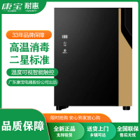 耐惠(NAAFI)XDR53-TBP1台式碗筷柜 53升 家用 桌面消毒碗柜 二星高温 小型办公会议茶杯茶具消毒柜