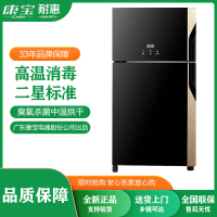耐惠(NAAFI)XDZ80-BP1 80升家用消毒柜 立式双层 厨房碗筷柜 高温餐具 大容量 二星级高温 小型