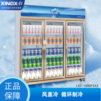 星星(XINGX)LGC-1800FSA3立式展示柜商用1639升双门大容量全冷藏啤酒饮料陈列柜便利店超市水果鲜花保鲜
