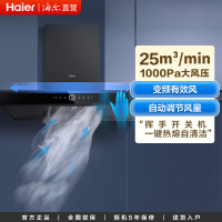 海尔(Haier)抽油烟机 欧式 25立方 1000pa变频 挥手智控 一键热熔洗 E900T29U1 海尔厨房电器
