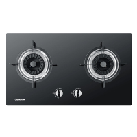 长虹(CHANGHONG)液化气灶具 JZY-B616样机