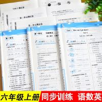 六年级上册同步练习册语文数学英语书人教版6年级一课一练作业本 六年级上册 6分钟应用题-通用版