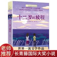 五年级的烦恼正版长青藤国际大奖小说小学生四五六年级课外必读书 [长青藤国际大奖]十二岁的旅程