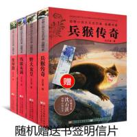 狼兄狼弟沈石溪中外动物小说绝境血狼霸王龙父子情疤脸狮王系列 残狼灰满4册