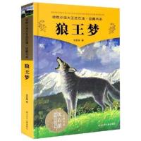 狼王梦沈石溪动物小说正版斑羚飞渡第七条猎狗全套10册新版可自选 狼王梦