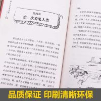 国际动物小说系列 沈石溪小学生课外阅读书三四五六年级儿童读物