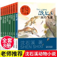 全8册沈石溪动物小说画本儿童文学小学生三四五六年级必读课外书