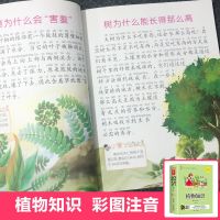 写给儿童的百科全书恐龙鸟类动植昆虫世界大百科6-12岁注音版书籍 植物知识(1本)