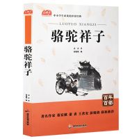 骆驼祥子海底两万里朝花夕拾老人与海七年级下册语文课外阅读名著 骆驼祥子