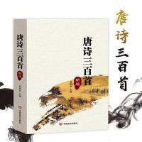 新编唐诗宋词元曲带注释 唐诗三百首全集正版 唐诗宋词鉴赏词典 唐诗三百首