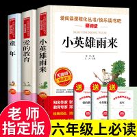 快乐读书吧爱的教育童年小英雄雨来六年级必读小学生课外阅读书籍 全新正版[六年级上册必读] 童年无障碍版