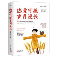 热爱可抵岁月漫长 老杨的猫头鹰 醒脑之书青春文学小说成功励志书 热爱可低岁月漫长（普通版）