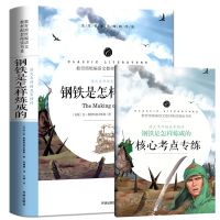 送考点钢铁是怎样炼成的正版原著初中生必读书名著全集本点评导读