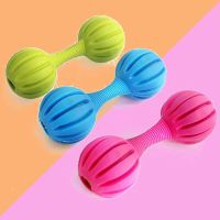 3根]狗玩具宠物玩具TPR橡胶哑铃发声玩具泰迪小狗磨牙训练玩具 线型杠铃tpr(颜色随机) 1根