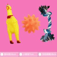 宠物玩具惨叫鸡狗狗磨牙耐咬发声泰迪幼犬金毛大型犬宠物玩具组合 亏本三件套[颜色随机]